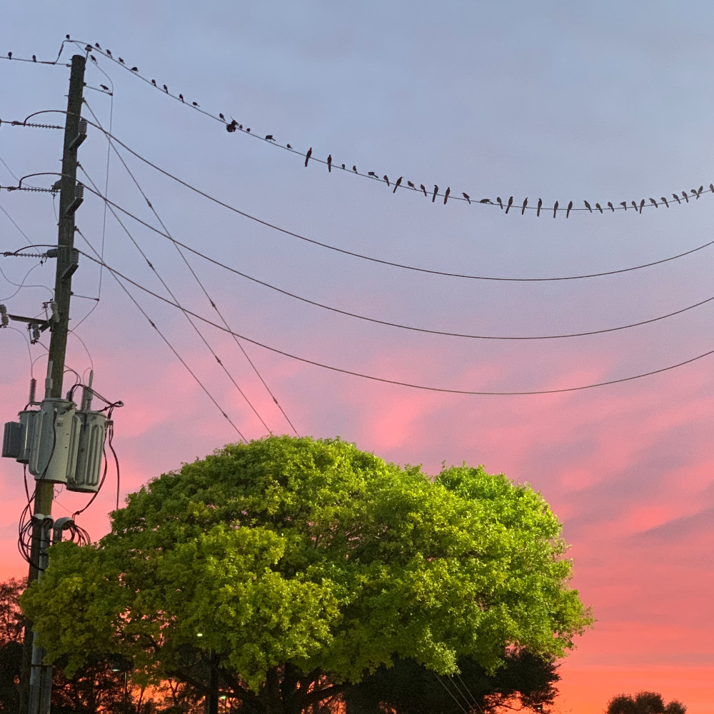 Meet your Posher, Alina